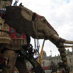 The Elephant