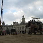 The Elephant