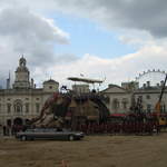 The Elephant and the Sultan's Limo