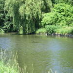 Watford-Apsley Canal