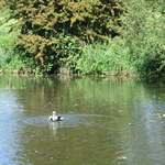 Watford-Apsley Canal