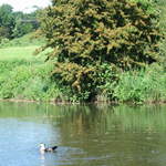 Watford-Apsley Canal