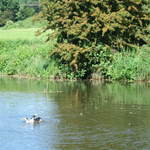 Watford-Apsley Canal