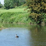 Watford-Apsley Canal