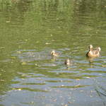 IMG_0023.JPG