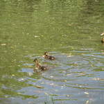 IMG_0024.JPG