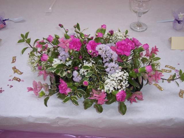 100_1982.JPG