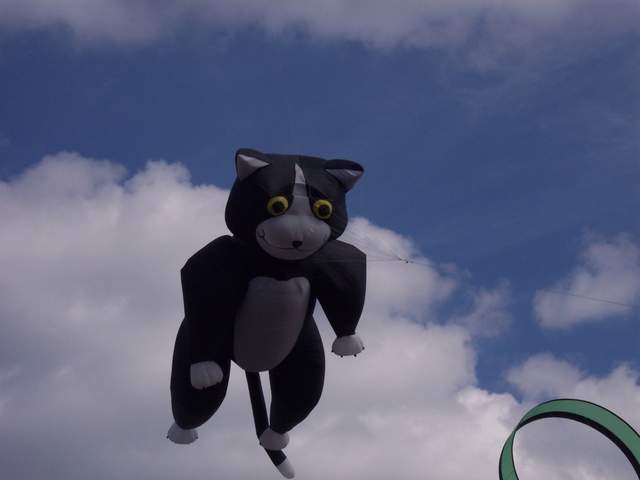 100_2248.jpg