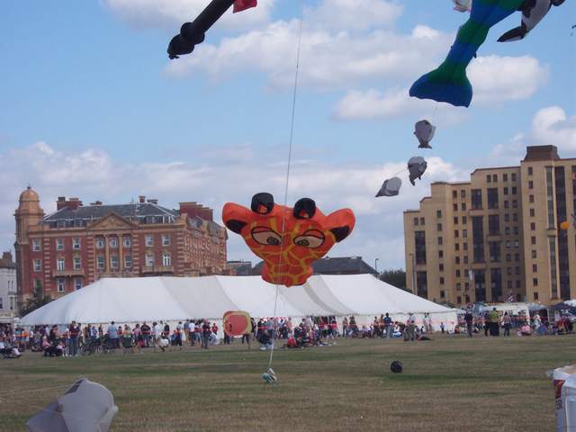 100_2251.jpg