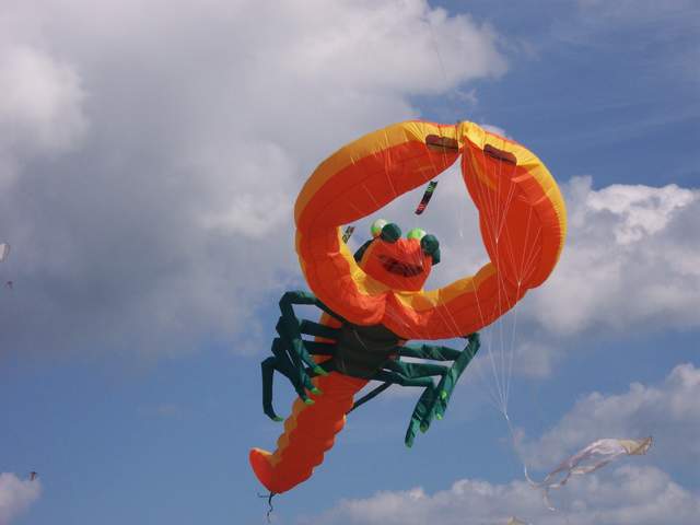 100_2256.jpg