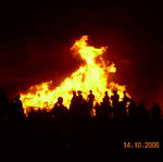 Bonfire2006 028.jpg