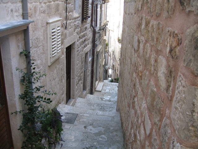 IMG_0011.JPG