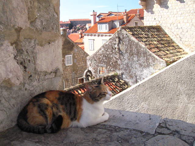 IMG_0031.JPG