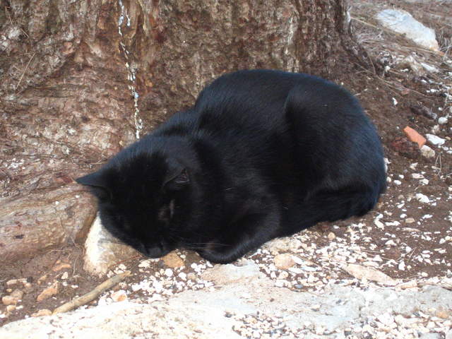 aIMG_0120.JPG