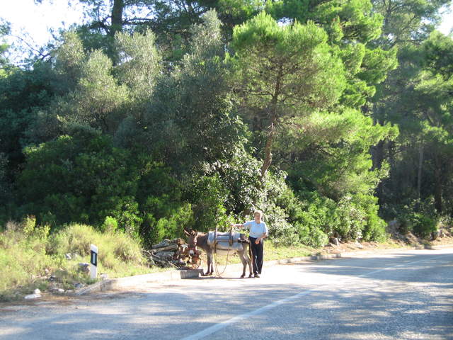 aIMG_0137.JPG