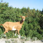 aIMG_0140.JPG