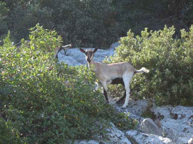 aIMG_0142.JPG