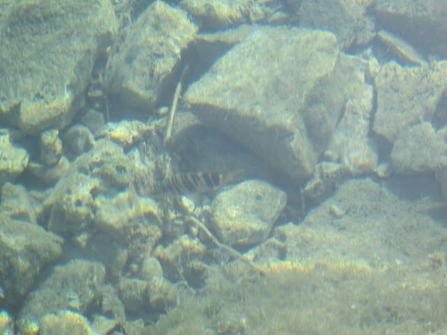 aIMG_0157.JPG