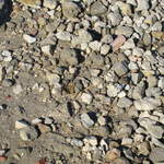 aIMG_0158.JPG