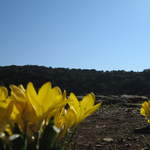 aIMG_0173.JPG