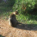 aIMG_0107.JPG
