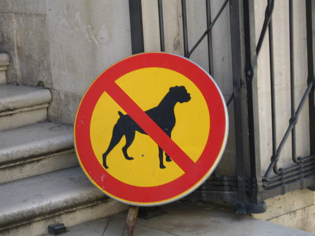 aIMG_0222.JPG