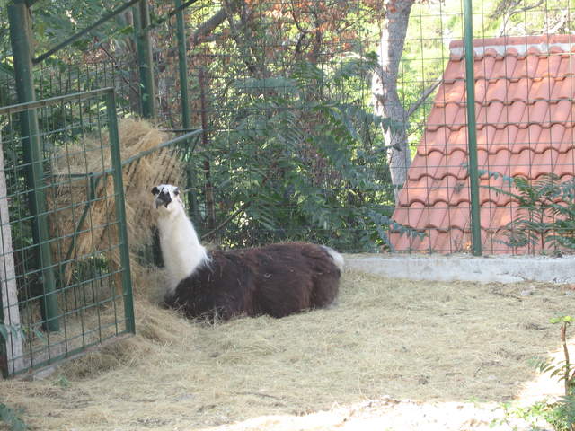 aIMG_0280.JPG