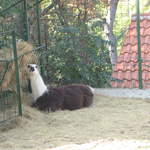 aIMG_0280.JPG