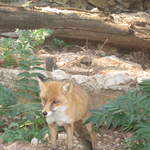 aIMG_0281.JPG