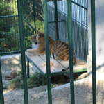 aIMG_0282.JPG