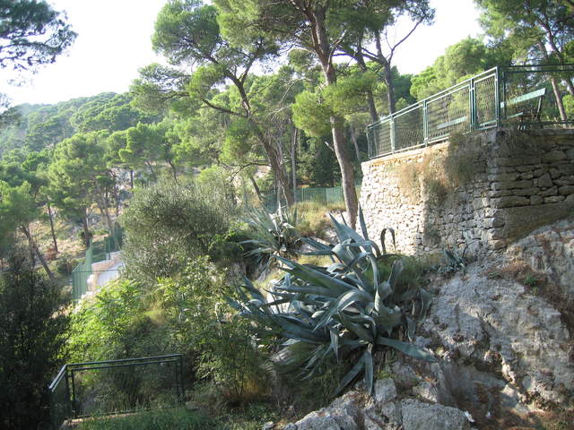 aIMG_0291.JPG