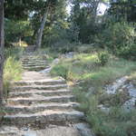 aIMG_0295.JPG
