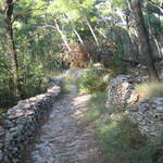 aIMG_0298.JPG