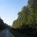 IMG_0049.JPG