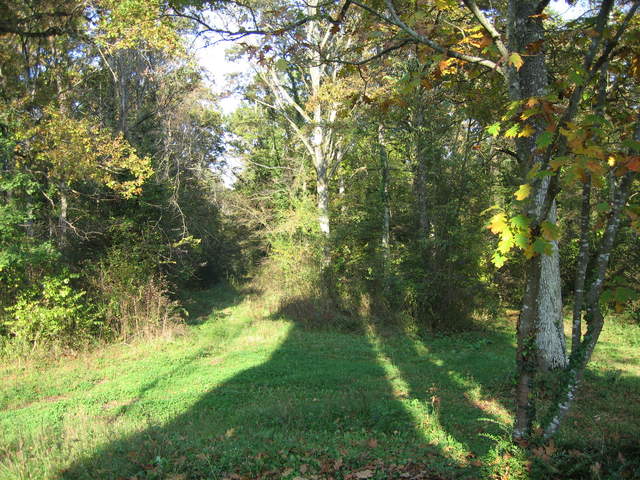 IMG_0057.JPG