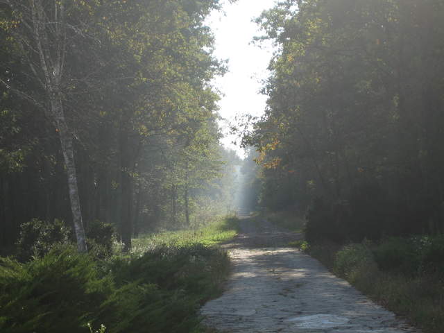 IMG_0059.JPG