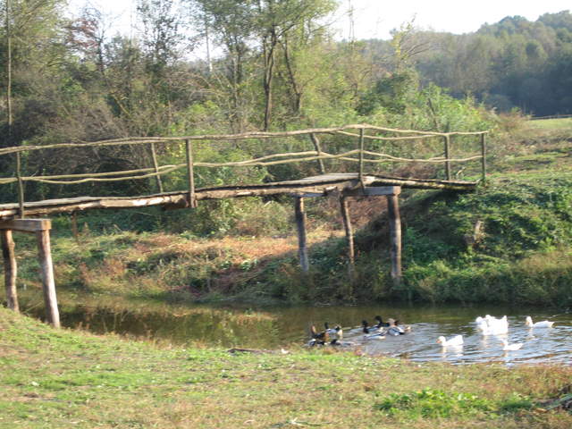 IMG_0066.JPG