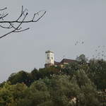 IMG_0175.JPG