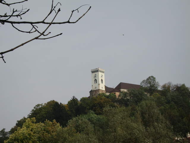 IMG_0176.JPG