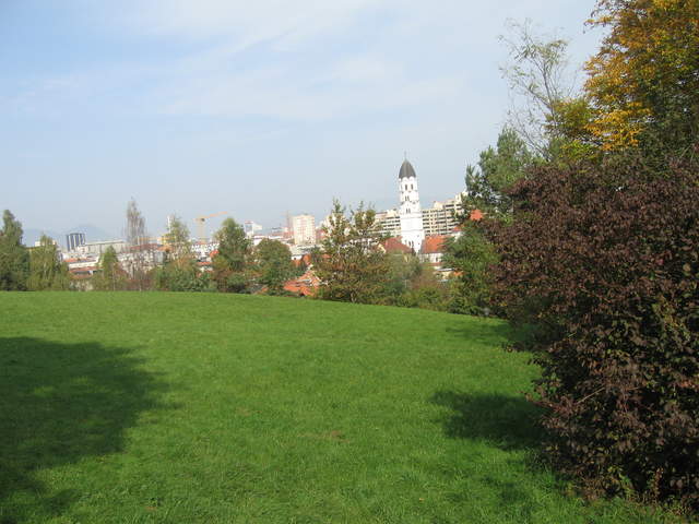 IMG_0182.JPG