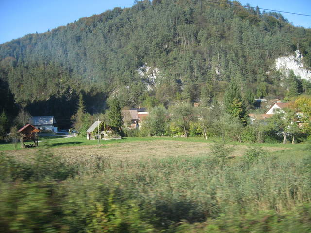 IMG_0141.JPG