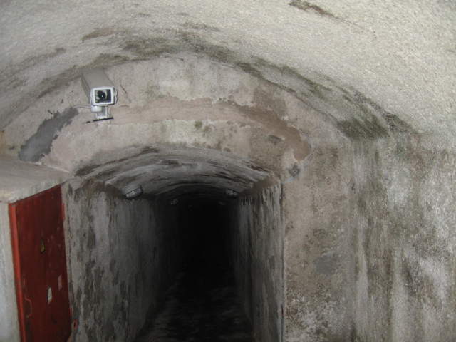 IMG_0313.JPG