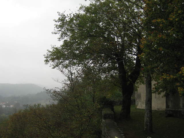 IMG_0306.JPG