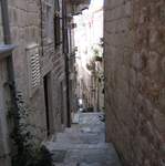 IMG_3020.JPG