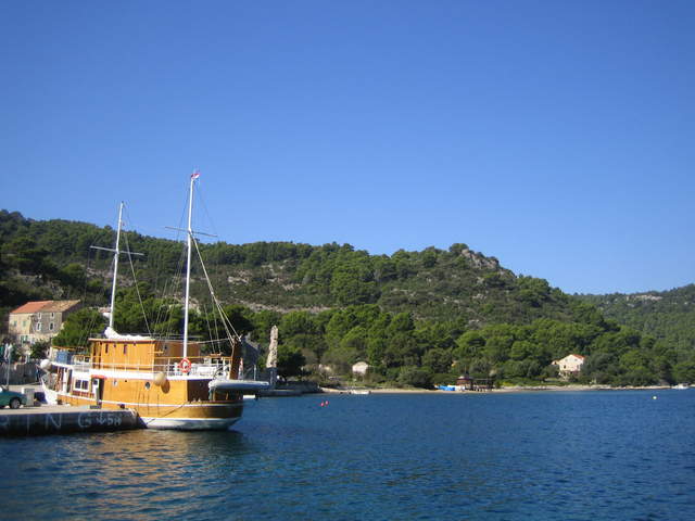 IMG_3111.JPG