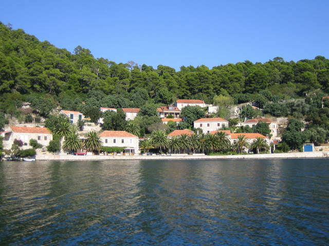 IMG_3115.JPG
