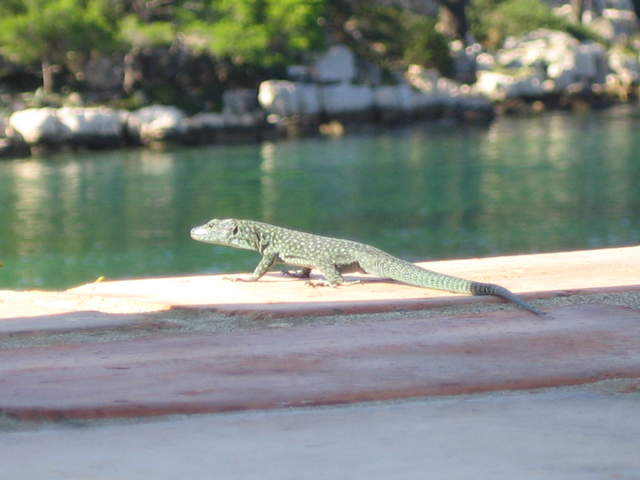 IMG_3121.JPG
