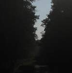 IMG_3278.JPG