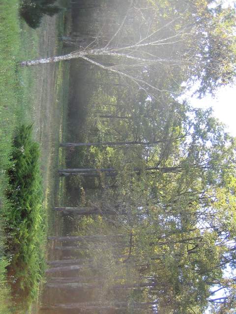 IMG_3280.JPG