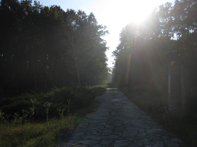 IMG_3283.JPG